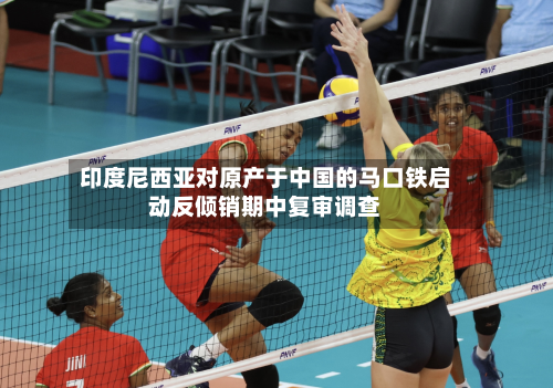 印度尼西亚对原产于中国的马口铁启动反倾销期中复审调查