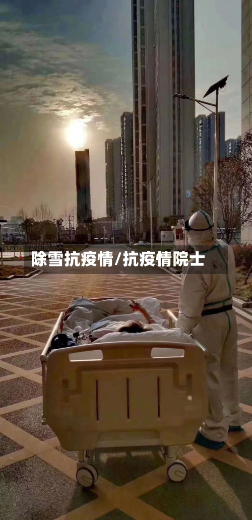 除雪抗疫情/抗疫情院士-第2张图片