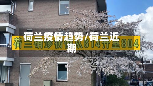 荷兰疫情趋势/荷兰近期