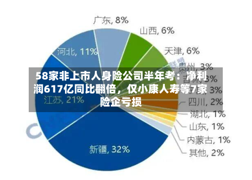 58家非上市人身险公司半年考：净利润617亿同比翻倍，仅小康人寿等7家险企亏损
