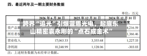 跨界“追光”引爆蓝盾光电，起底东山精密袁永刚的“点石成金术”