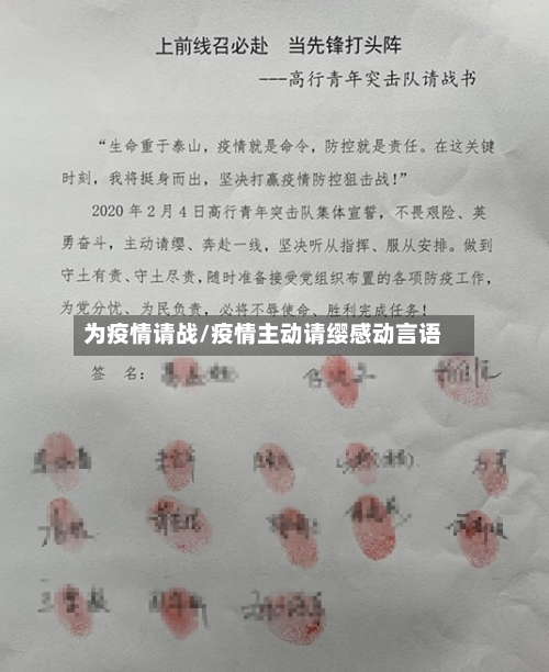 为疫情请战/疫情主动请缨感动言语-第3张图片