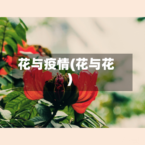 花与疫情(花与花)