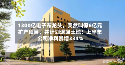 1300亿电子布龙头，突然叫停6亿元扩产项目，并计划退回土地！上半年公司净利暴增334%
