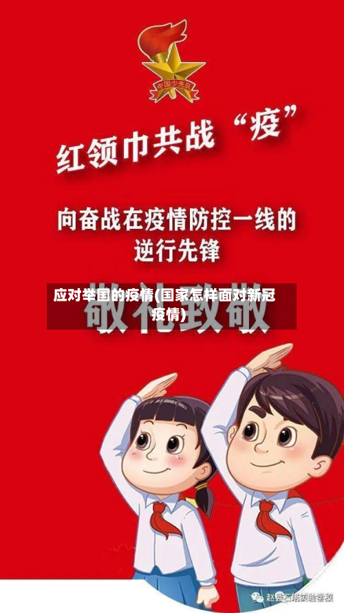 应对举国的疫情(国家怎样面对新冠疫情)