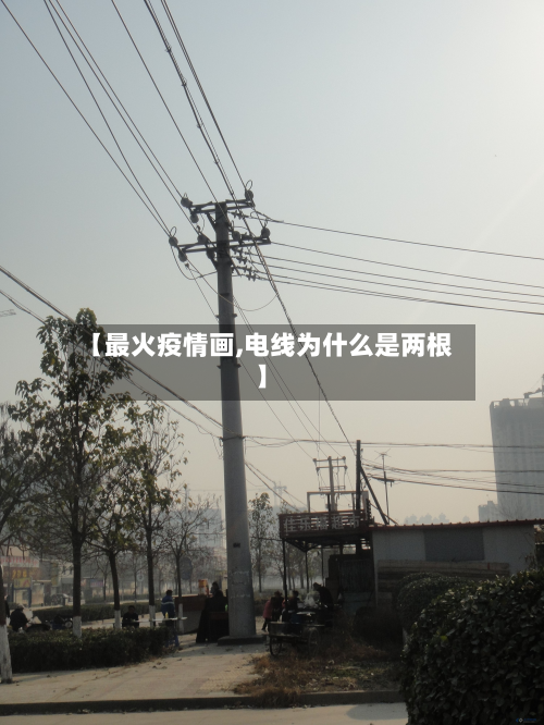 【最火疫情画,电线为什么是两根】