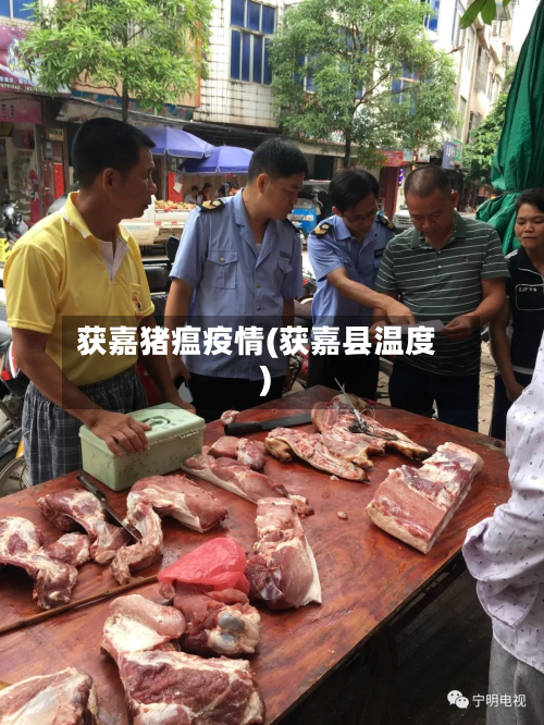 获嘉猪瘟疫情(获嘉县温度)-第2张图片