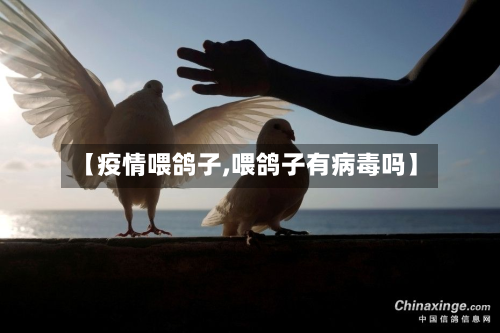 【疫情喂鸽子,喂鸽子有病毒吗】