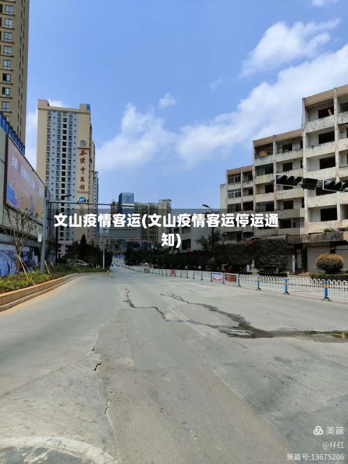 文山疫情客运(文山疫情客运停运通知)-第2张图片