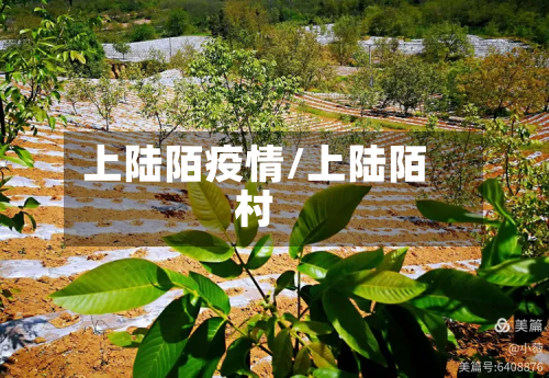 上陆陌疫情/上陆陌村