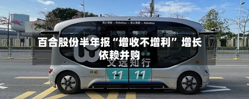 百合股份半年报“增收不增利” 增长依赖并购-第2张图片