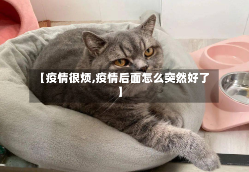【疫情很烦,疫情后面怎么突然好了】-第2张图片