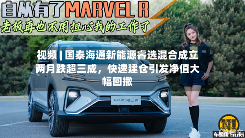 视频 | 国泰海通新能源睿选混合成立两月跌超三成，快速建仓引发净值大幅回撒-第2张图片