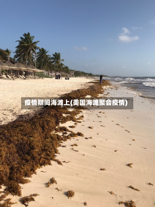疫情期间海滩上(美国海滩聚会疫情)-第2张图片