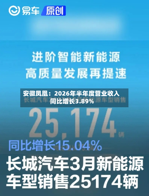 安徽凤凰：2026年半年度营业收入同比增长3.89%-第3张图片