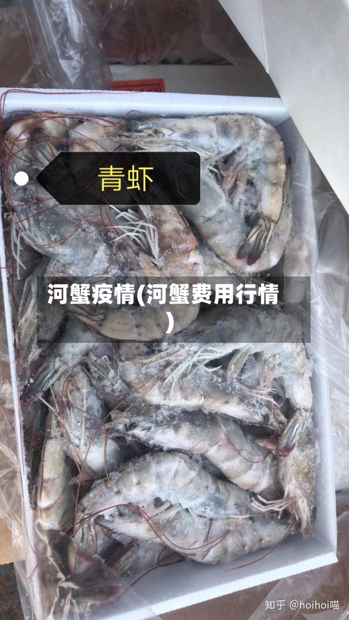 河蟹疫情(河蟹费用行情)