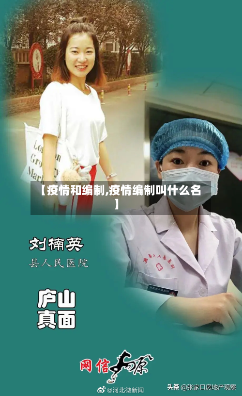 【疫情和编制,疫情编制叫什么名】