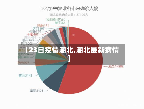 【23日疫情湖北,湖北最新病情】