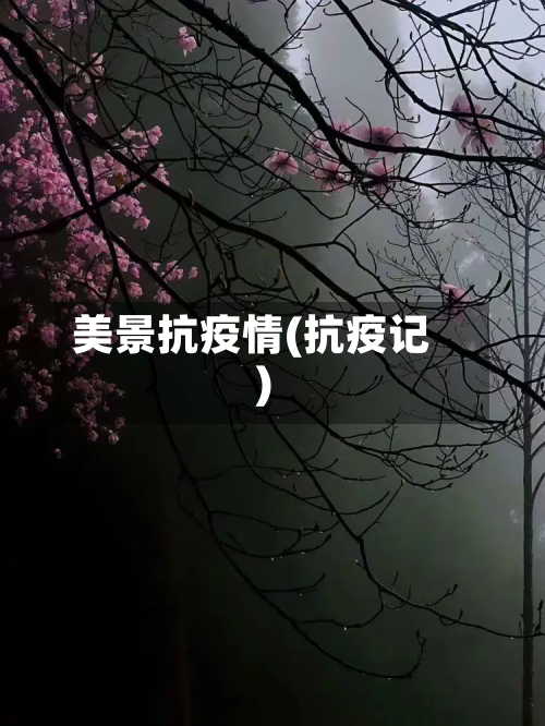 美景抗疫情(抗疫记)-第3张图片