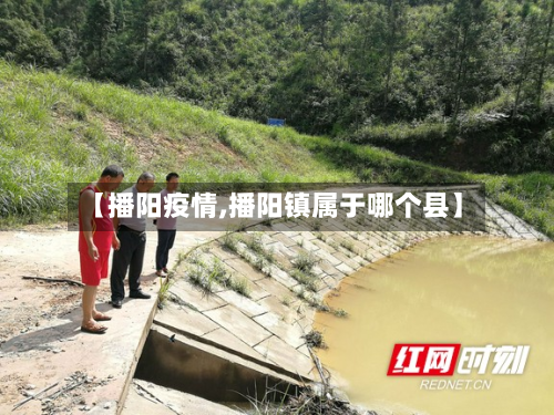 【播阳疫情,播阳镇属于哪个县】