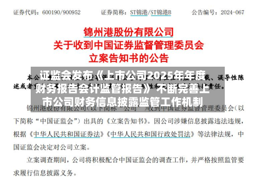 证监会发布《上市公司2025年年度财务报告会计监管报告》 不断完善上市公司财务信息披露监管工作机制-第2张图片