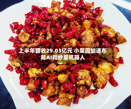 上半年营收29.03亿元 小菜园加速布局AI和炒菜机器人