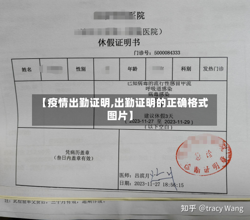 【疫情出勤证明,出勤证明的正确格式图片】-第2张图片