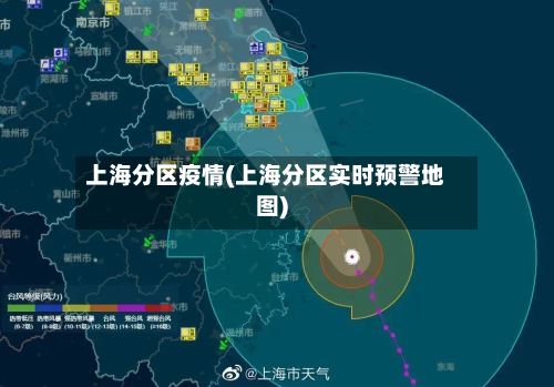 上海分区疫情(上海分区实时预警地图)
