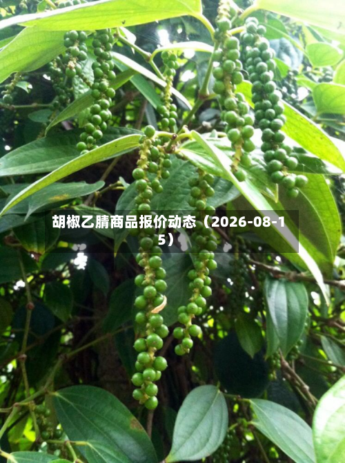 胡椒乙腈商品报价动态（2026-08-15）-第1张图片