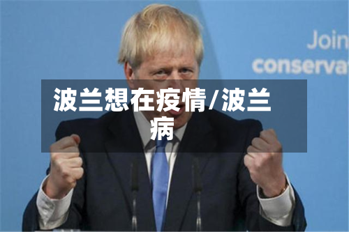 波兰想在疫情/波兰病