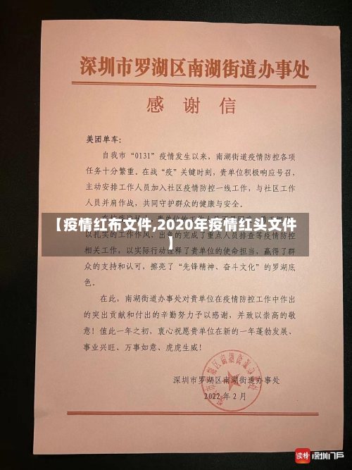 【疫情红布文件,2020年疫情红头文件】-第3张图片