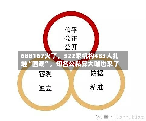 688167火了	，322家机构483人扎堆“围观”，知名公私募大咖也来了-第3张图片