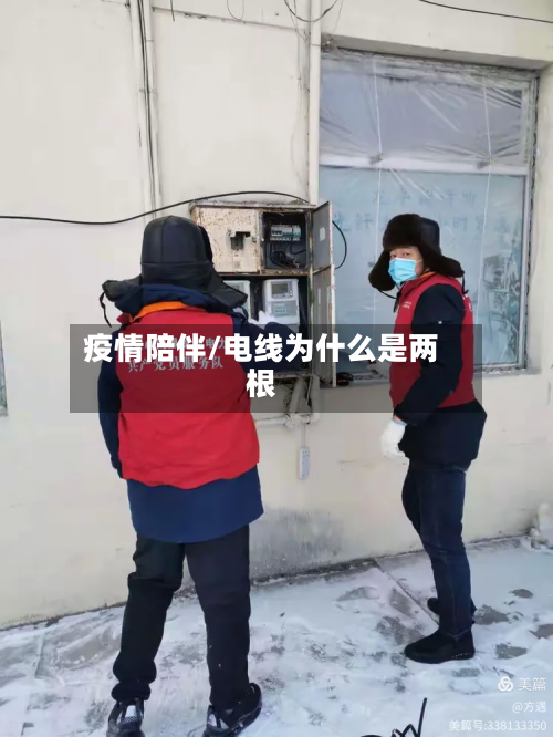 疫情陪伴/电线为什么是两根