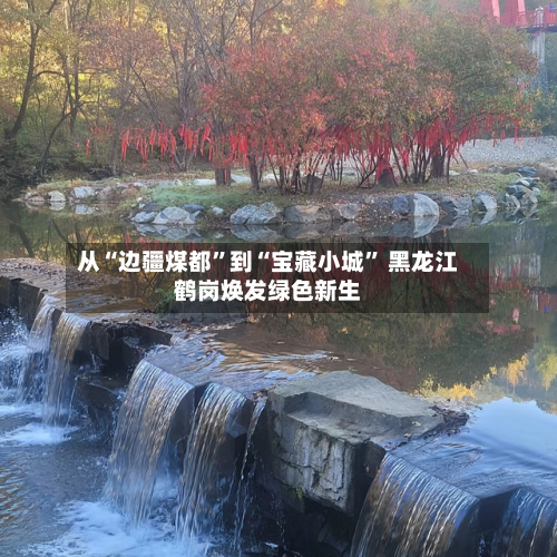 从“边疆煤都”到“宝藏小城	” 黑龙江鹤岗焕发绿色新生-第2张图片