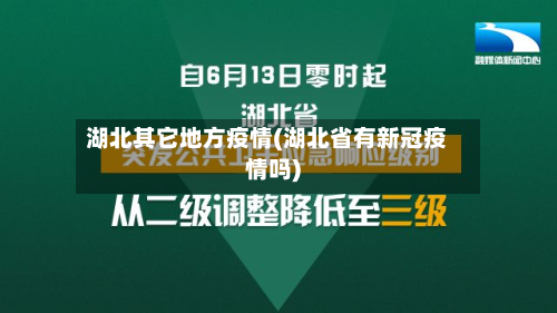 湖北其它地方疫情(湖北省有新冠疫情吗)-第3张图片